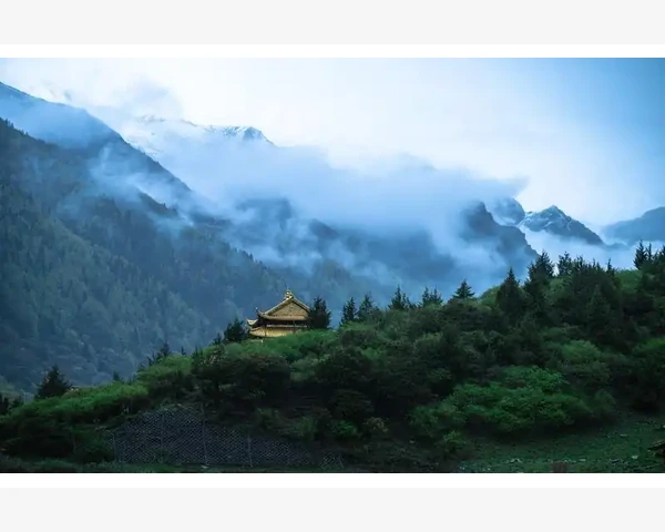 清肺热又养脾胃的饮食养生指南