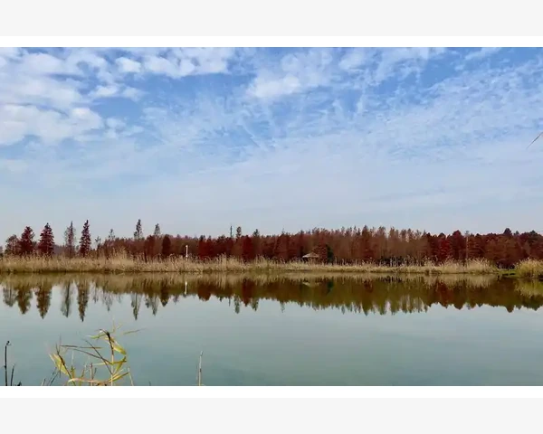 脾胃肠道启动健康长寿密码